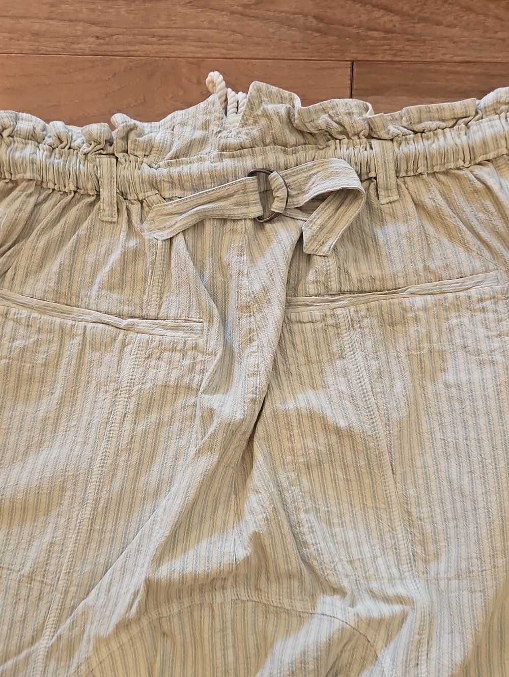 Free People Striped Cotton Pants in Cream & Blue Size Large - Picture 6 of 12